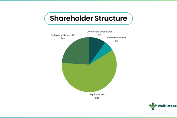 Shareholding & control structuring